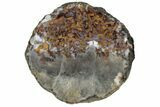 Polished Banded Agate Nodule Pair - Agouim, Morocco #187165-1